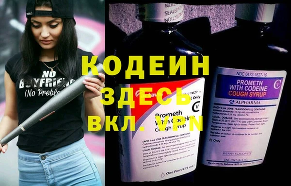 винт Пересвет