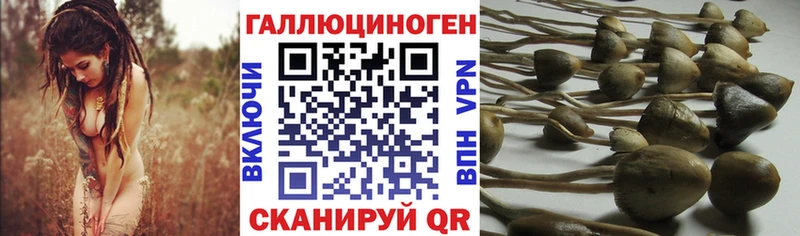 Псилоцибиновые грибы ЛСД  Верхнеуральск 